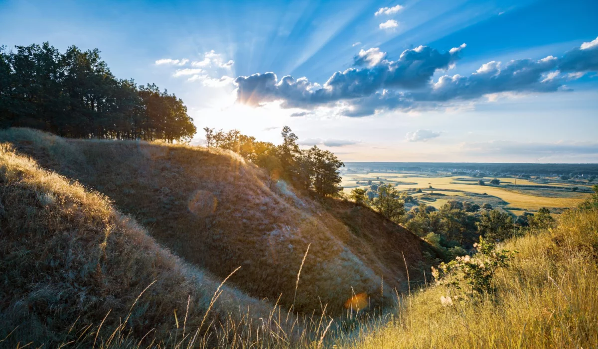 Wycena tego jak Oddać elektrośmiecie w Krakowie