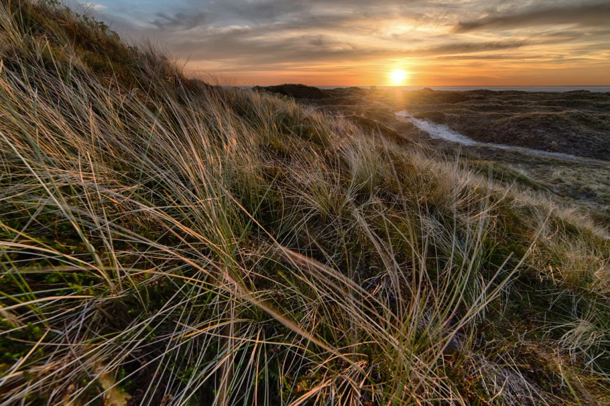 Czy jest nowe prawo jak wypożyczyć meble?