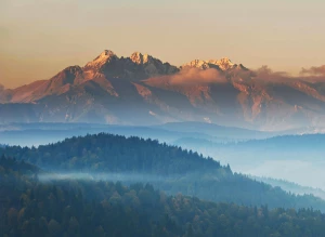 Kartki i karty zaproszeniowe na wesele