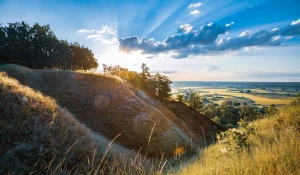 Jak działają wypożyczalnie mebli na event w Polsce?