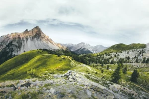 Nowe podejście w 2021 jak  wypożyczyć meble